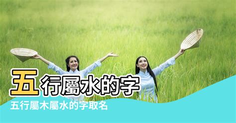 屬水的字|屬水的字